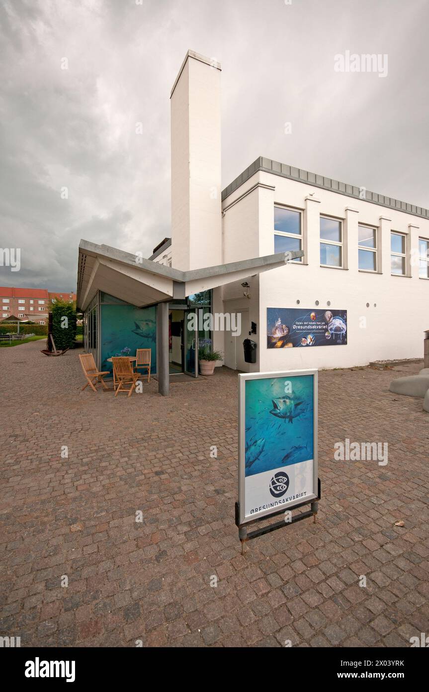 Das Øresund Aquarium (Øresundsakvariet) in Helsingor, Dänemark Stockfoto