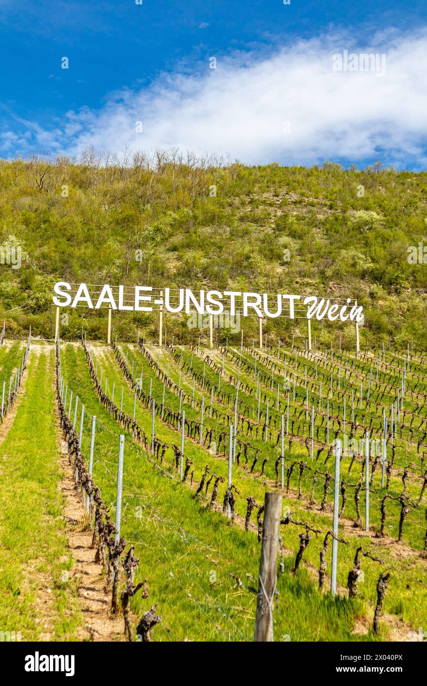 Eine frühlingshafte Radtour Anfang April bei herrlichem Sonnenschein entlang der Saale- und ILM-Talradwege von Naumburg/Saale bis kurz vor Gotha - Do Stockfoto