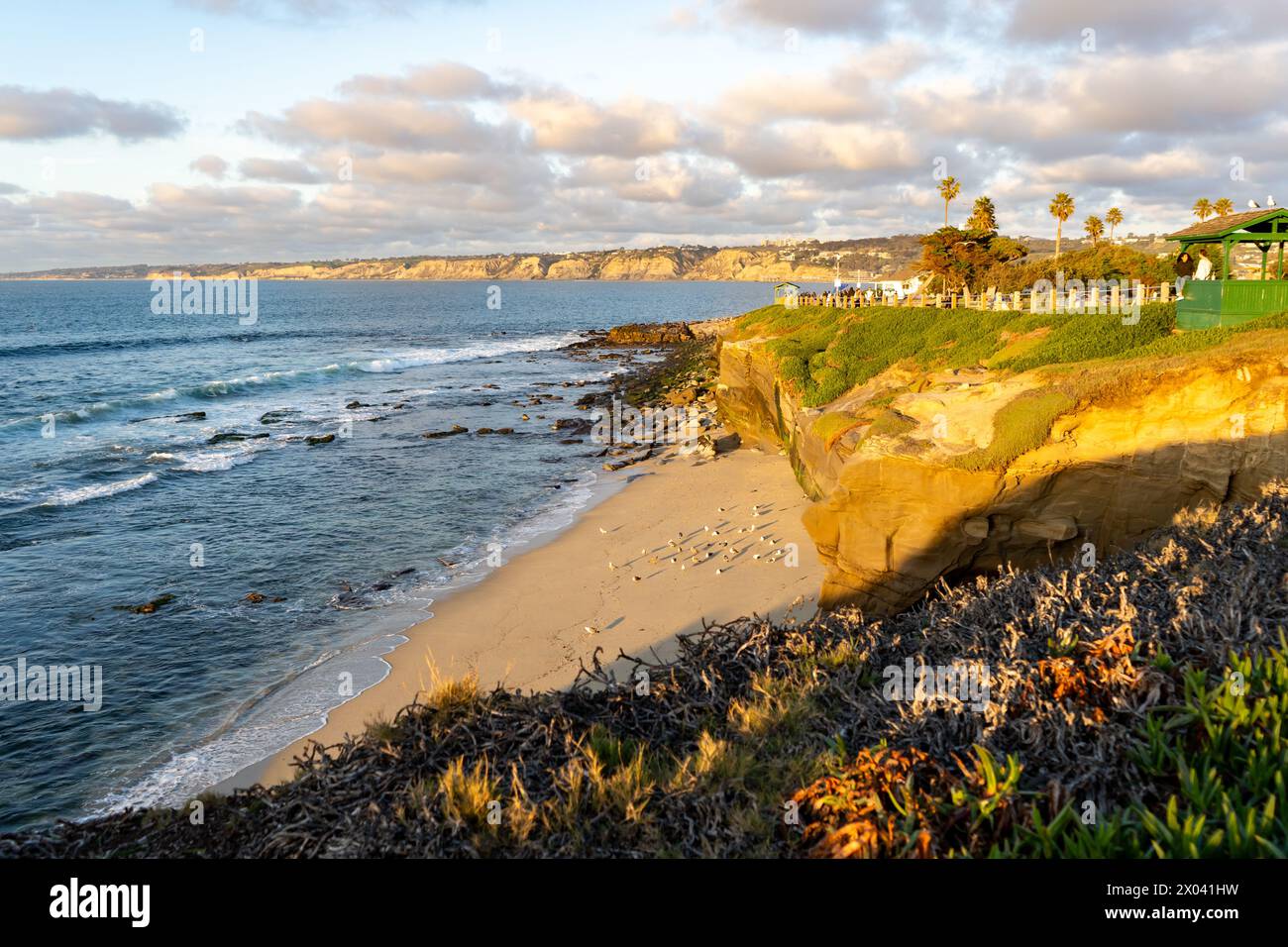 La Jolla, San Diego, Kalifornien / 13. Februar 2024: Ein Strand voller Vögel mit einer Klippe im Hintergrund. Die Sonne geht unter Stockfoto