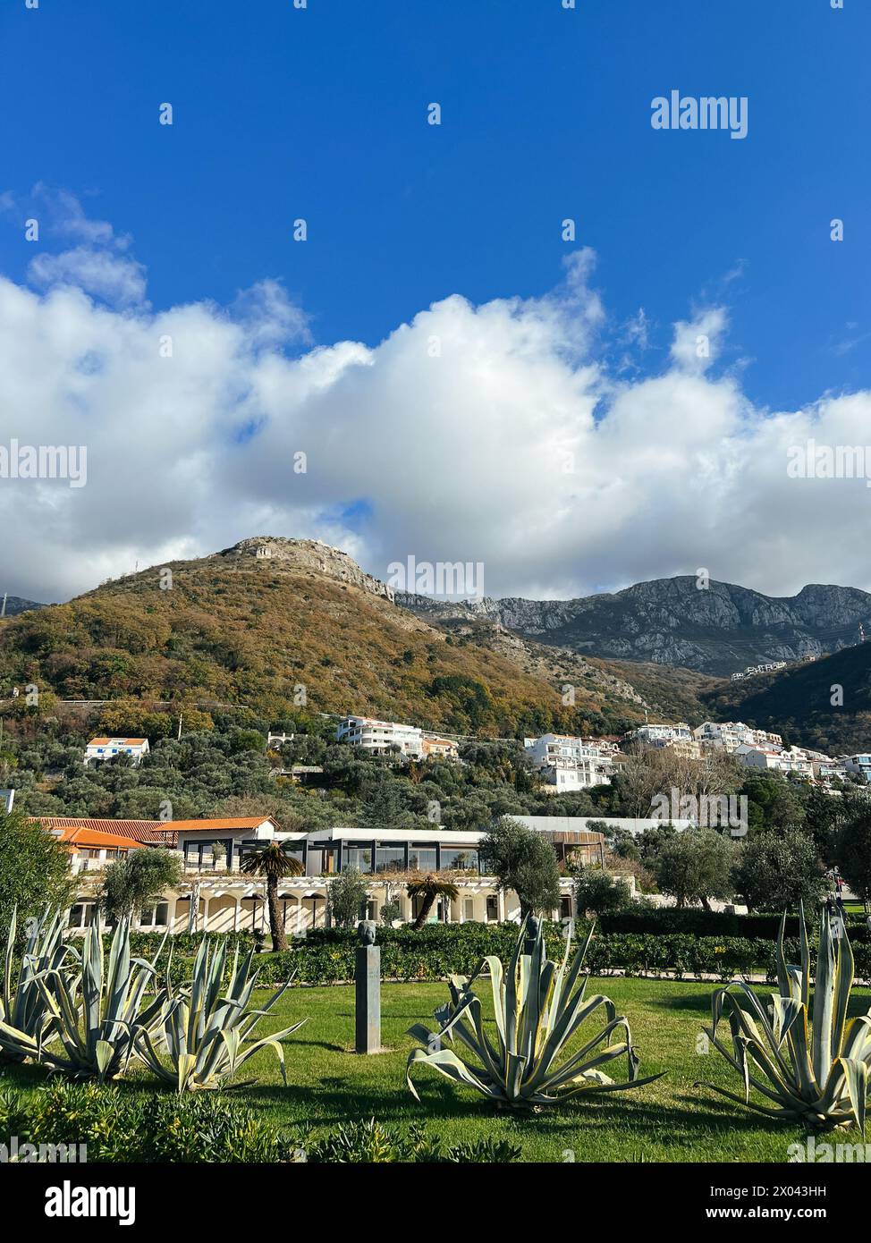 Riesige Agavensträucher wachsen auf einer grünen Wiese vor dem Haus am Fuße der Berge Stockfoto