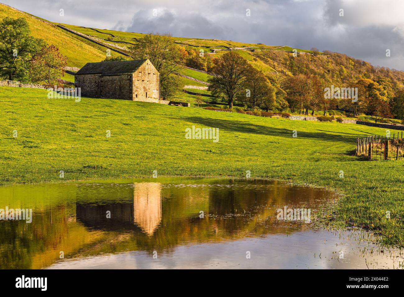 Traditionelle Steinscheune spiegelt sich in einem überfluteten Feld in der Nähe von Kettlewell, Wharfedale, Yorkshire Dales, England. Stockfoto