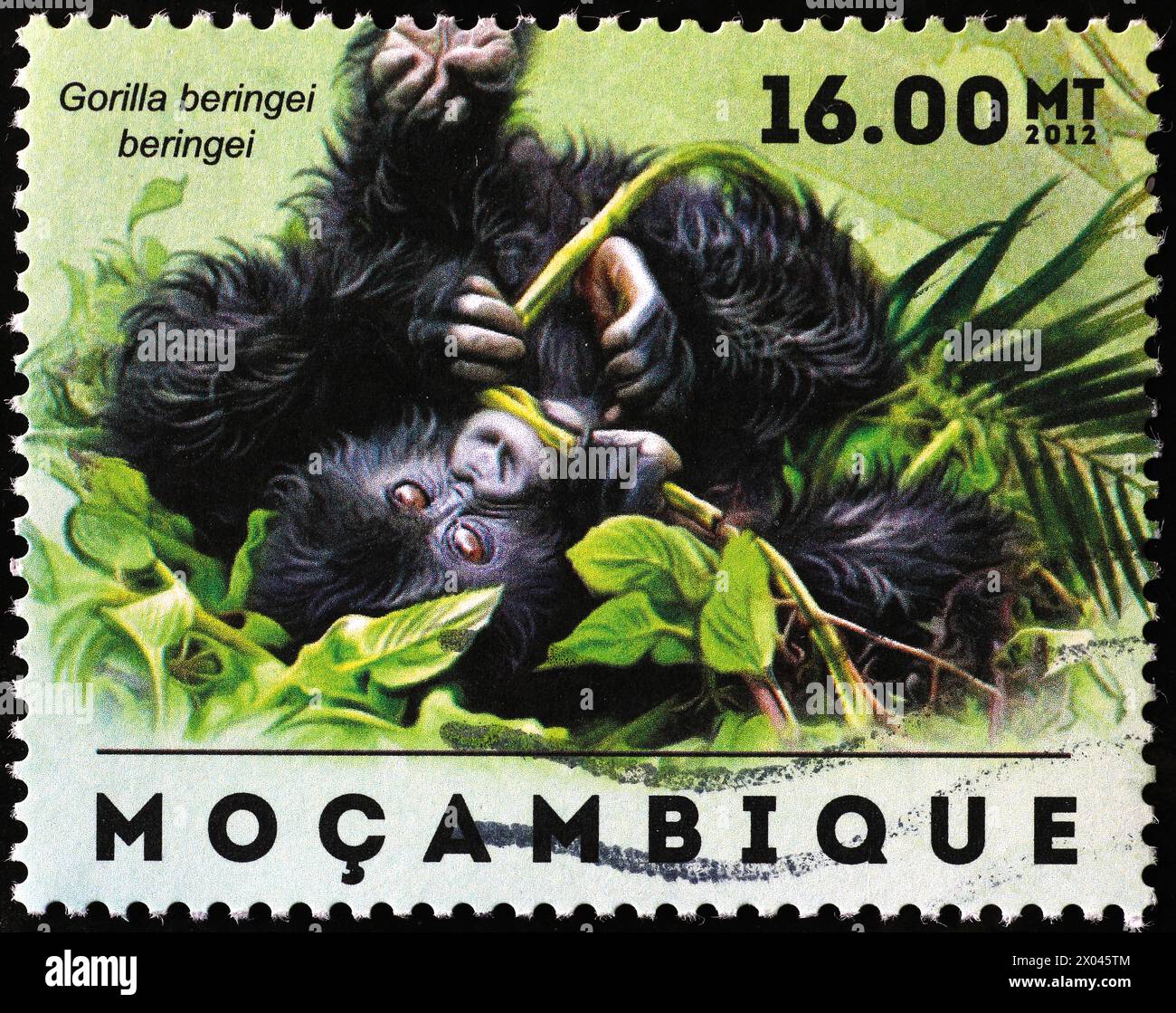 Baby-Gorilla spielt auf Briefmarken Stockfoto