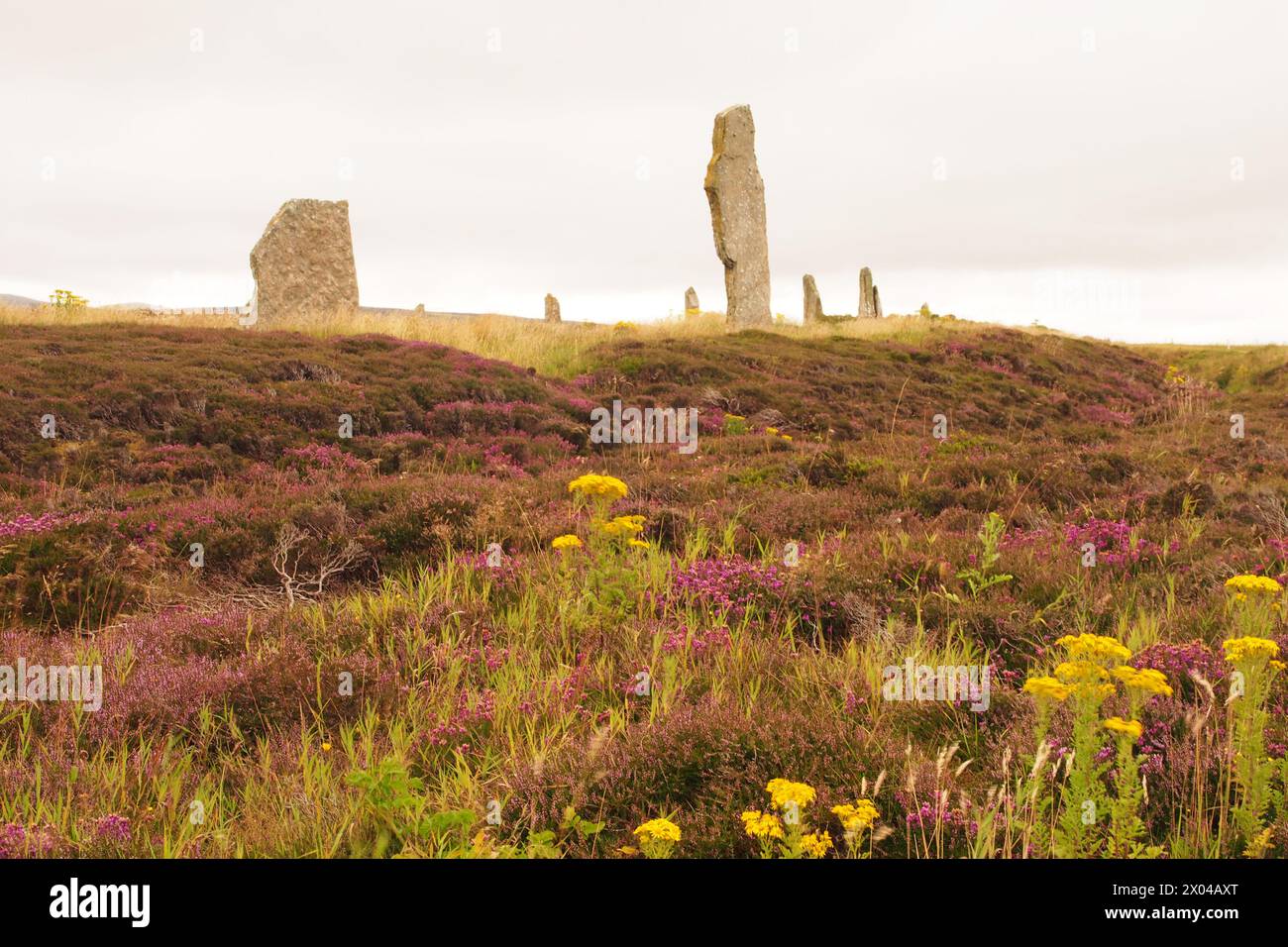 Der Ring of Brodgar steht auf dem Festland Orkney, Schottland, Großbritannien Stockfoto