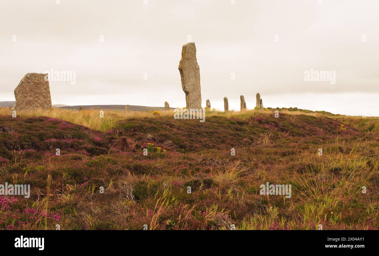 Der Ring of Brodgar steht auf dem Festland Orkney, Schottland, Großbritannien Stockfoto
