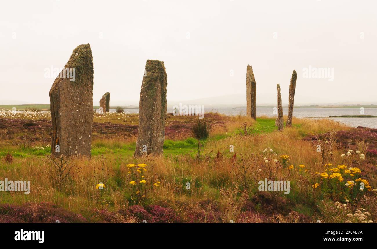 Der Ring of Brodgar steht auf dem Festland Orkney, Schottland, Großbritannien Stockfoto