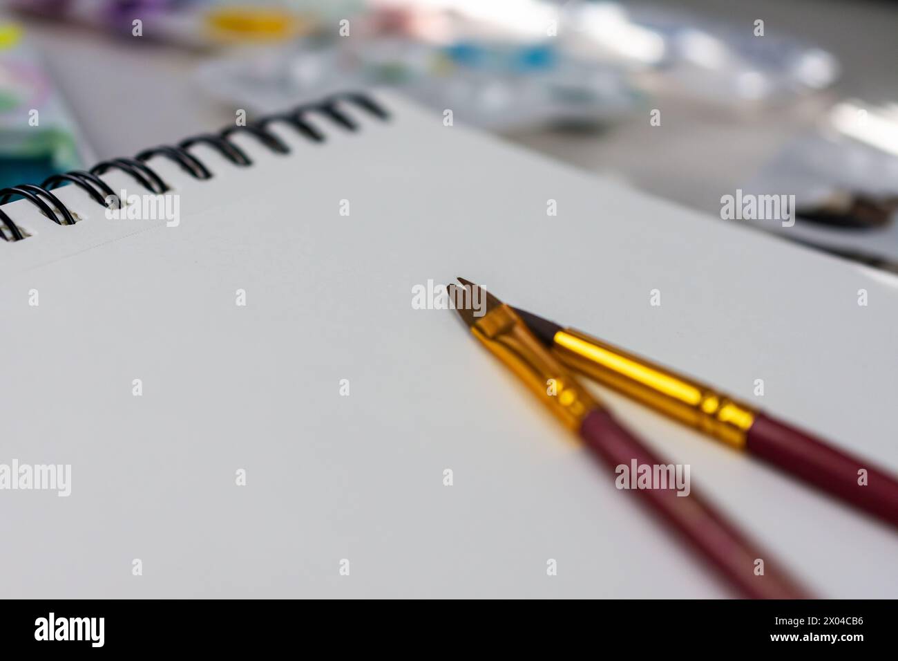 Zwei Pinsel sitzen auf einem Stück Aquarellpapier. Stockfoto