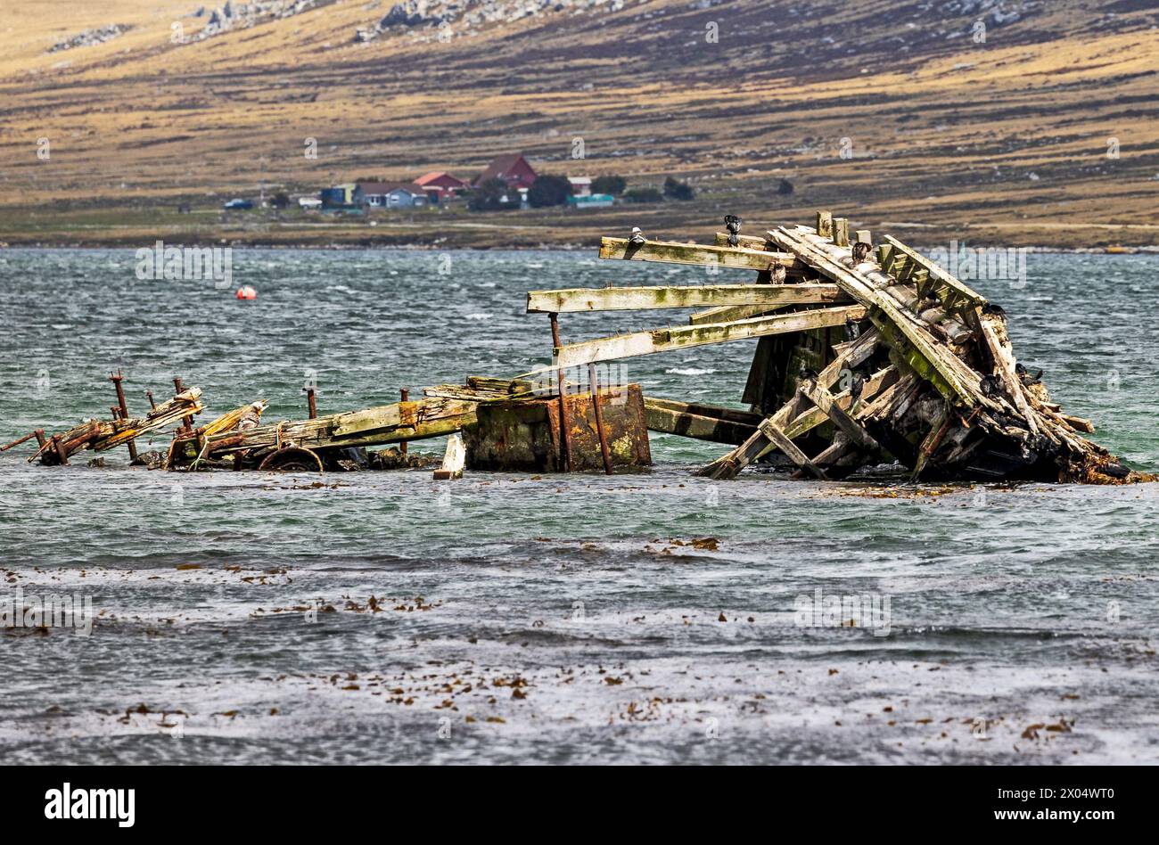 Jhelum Shipwreck, Stanley, Falklandinseln, Samstag, 02. Dezember, 2023. Foto: David Rowland / One-Image.com Stockfoto
