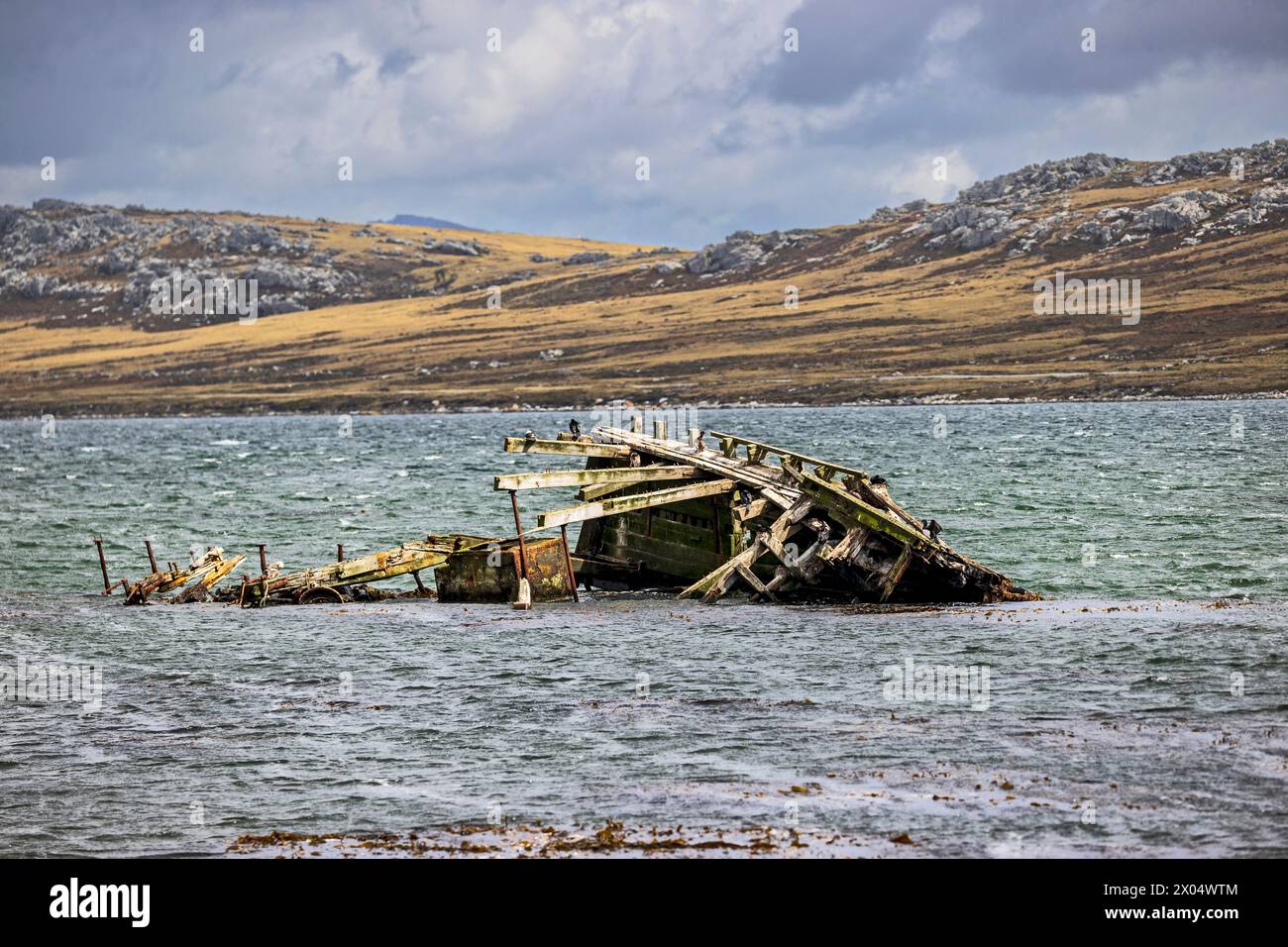 Jhelum Shipwreck, Stanley, Falklandinseln, Samstag, 02. Dezember, 2023. Foto: David Rowland / One-Image.com Stockfoto