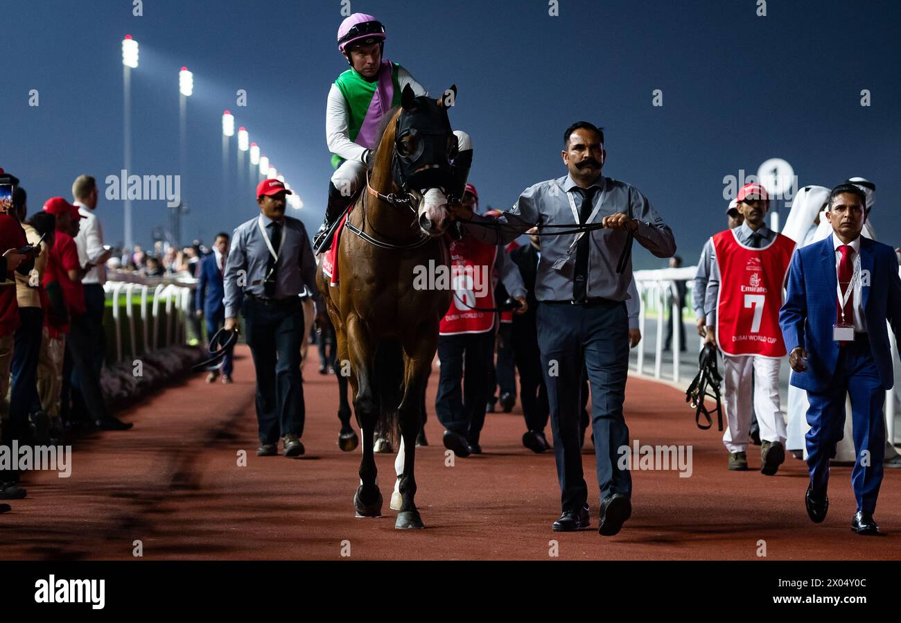 Laurel River und Tadhg O'Shea starten zum Start der Emirates Dubai World Cup 2024, Meydan Racecourse, 24.03.30. Credit JTW equine Images / Alamy. Stockfoto