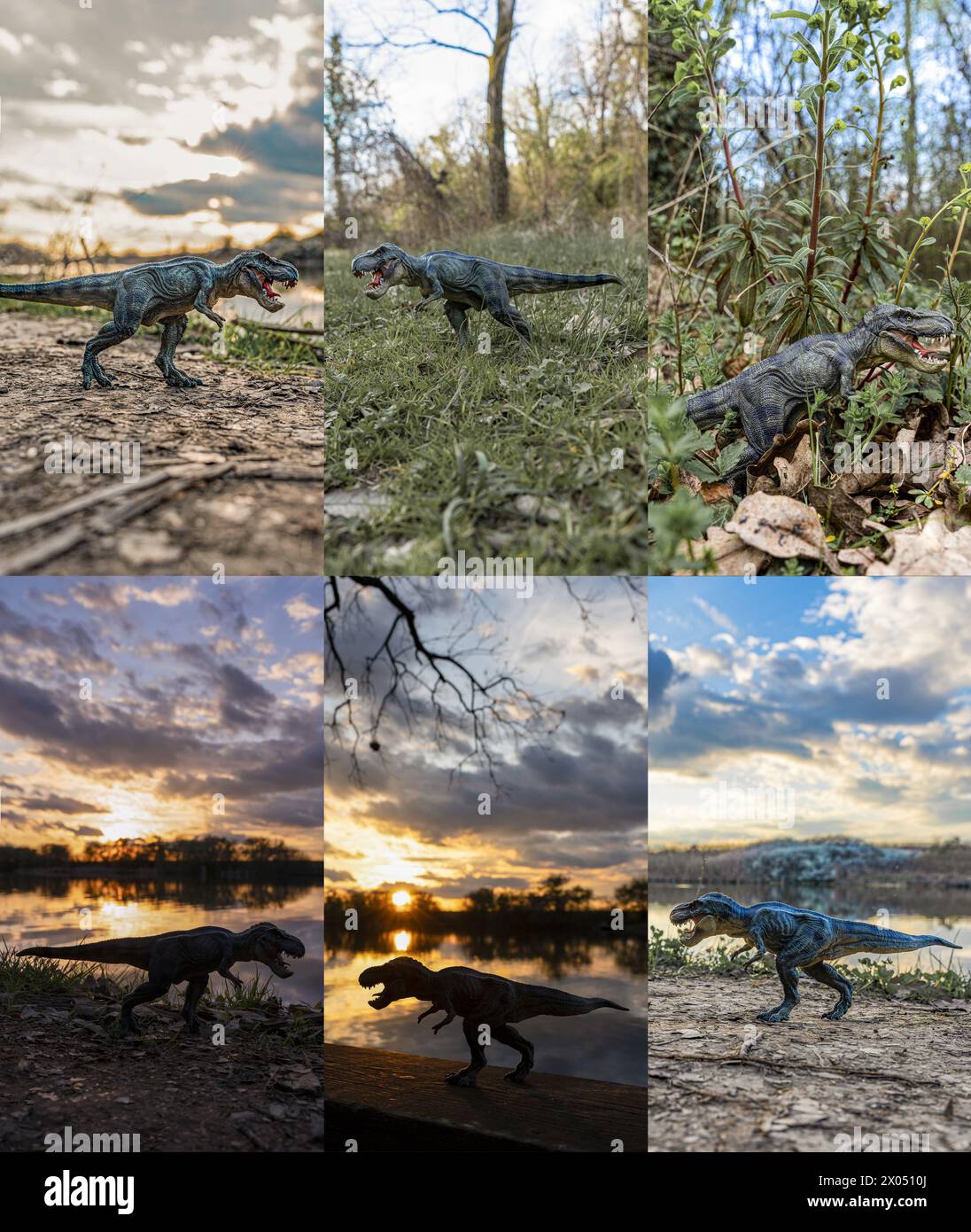 T Rex Dinosaurier steht im Nature Collection Set Stockfoto