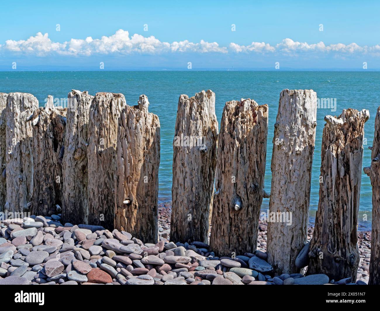 Großbritannien, Somerset, Minehead Beach, verwitterte Buhnen. Stockfoto