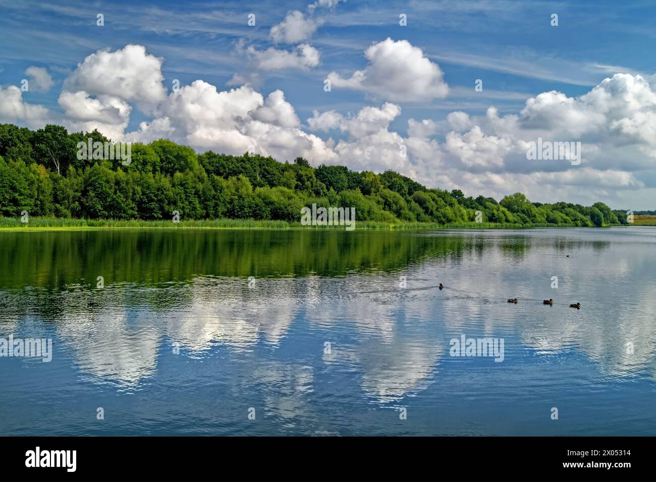 Großbritannien, West Yorkshire, Wakefield, Cold Hiendley Reservoir. Stockfoto
