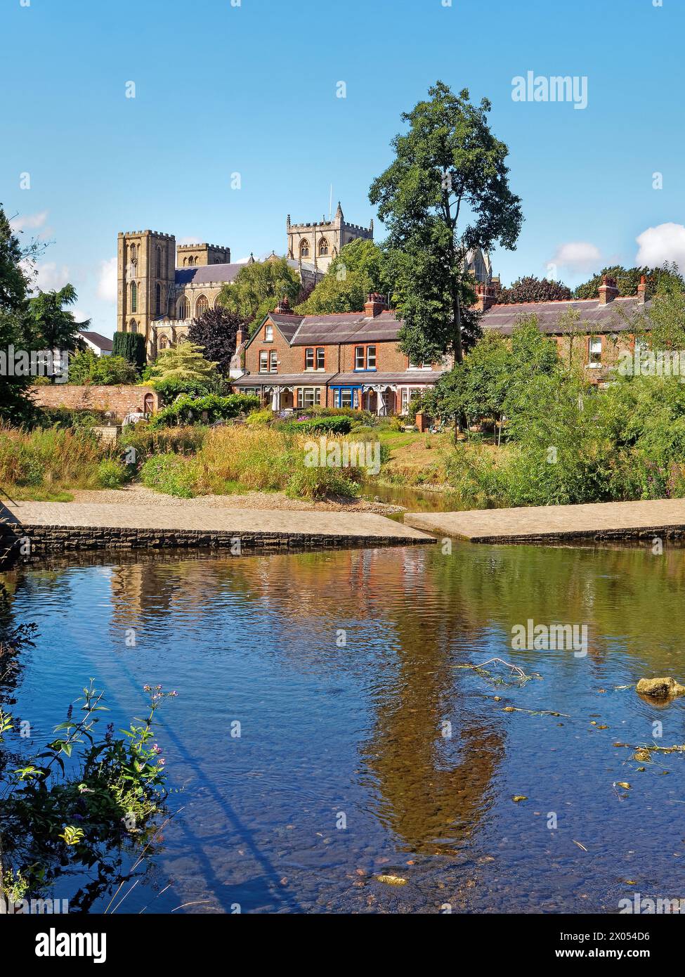 UK, North Yorkshire, Ripon Cathedral und River Skell. Stockfoto