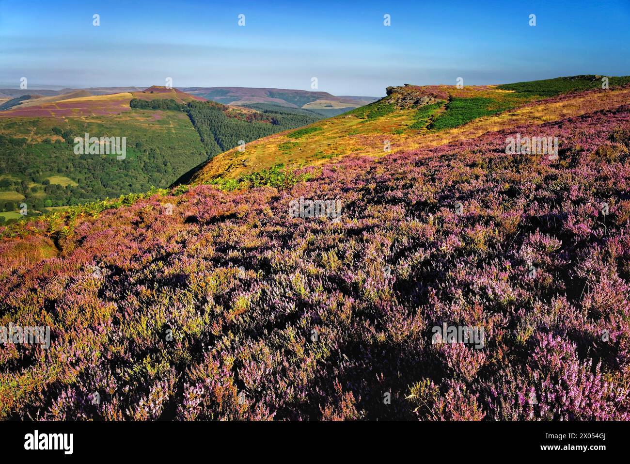 Großbritannien, Derbyshire, Peak District, Bamford Edge und Win Hill. Stockfoto