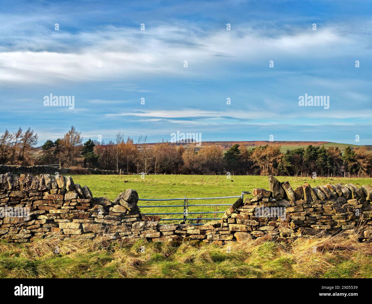 Großbritannien, South Yorkshire, Peak District, Lodge Moor, Blick von der Redmires Road in Richtung Ughill. Stockfoto