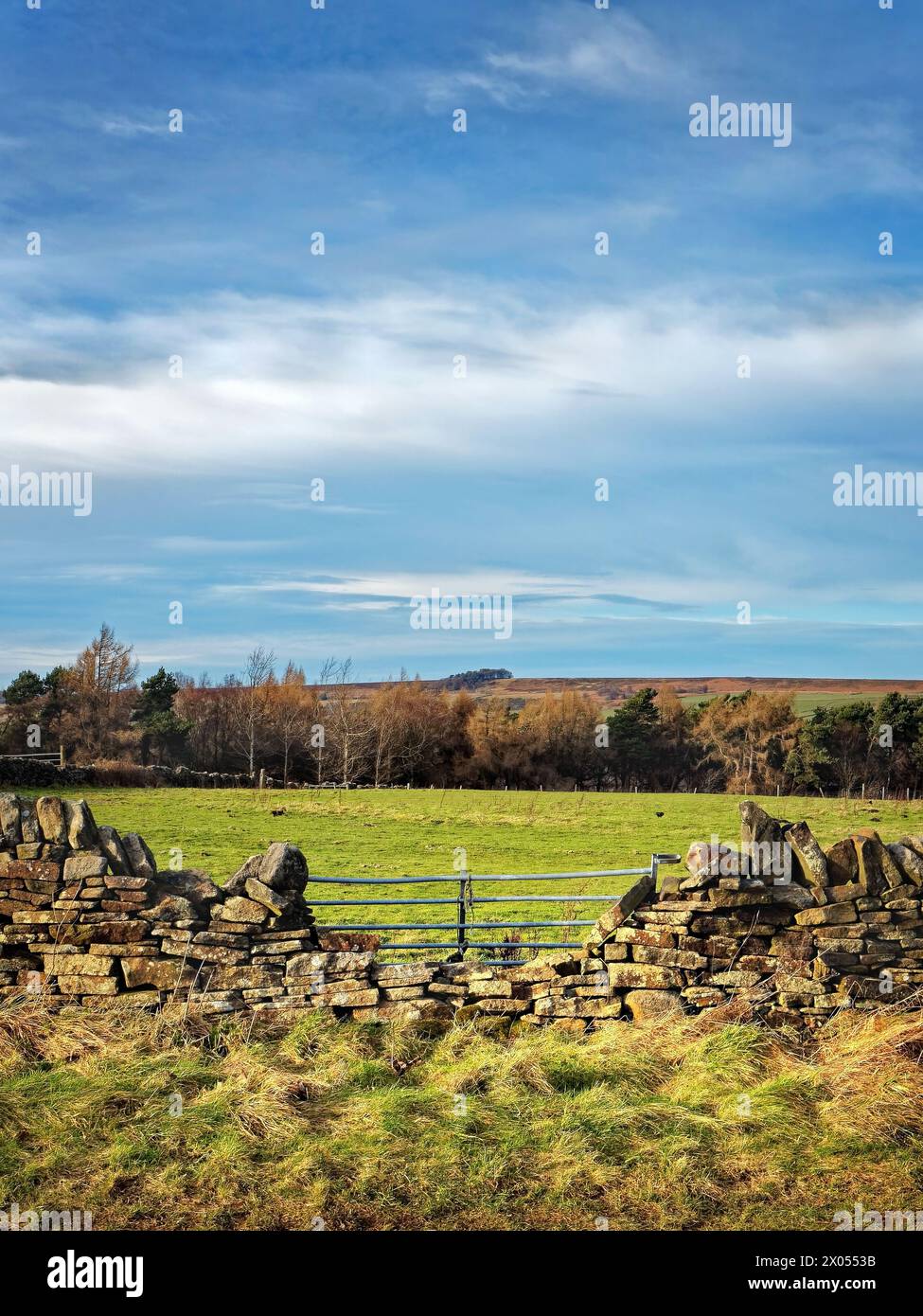 Großbritannien, South Yorkshire, Peak District, Lodge Moor, Blick von der Redmires Road in Richtung Ughill. Stockfoto