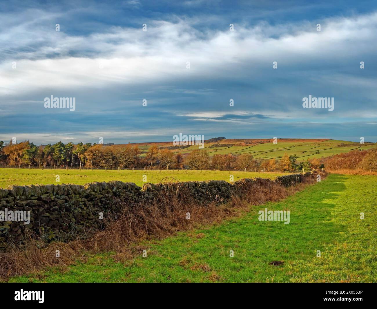 Großbritannien, South Yorkshire, Peak District, Lodge Moor, Blick von der Redmires Road in Richtung Ughill. Stockfoto