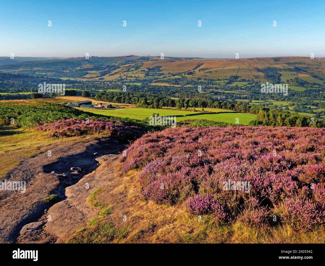 Großbritannien, Derbyshire, Peak District, Blick vom Bamford Edge in Richtung Shatton Moor. Stockfoto