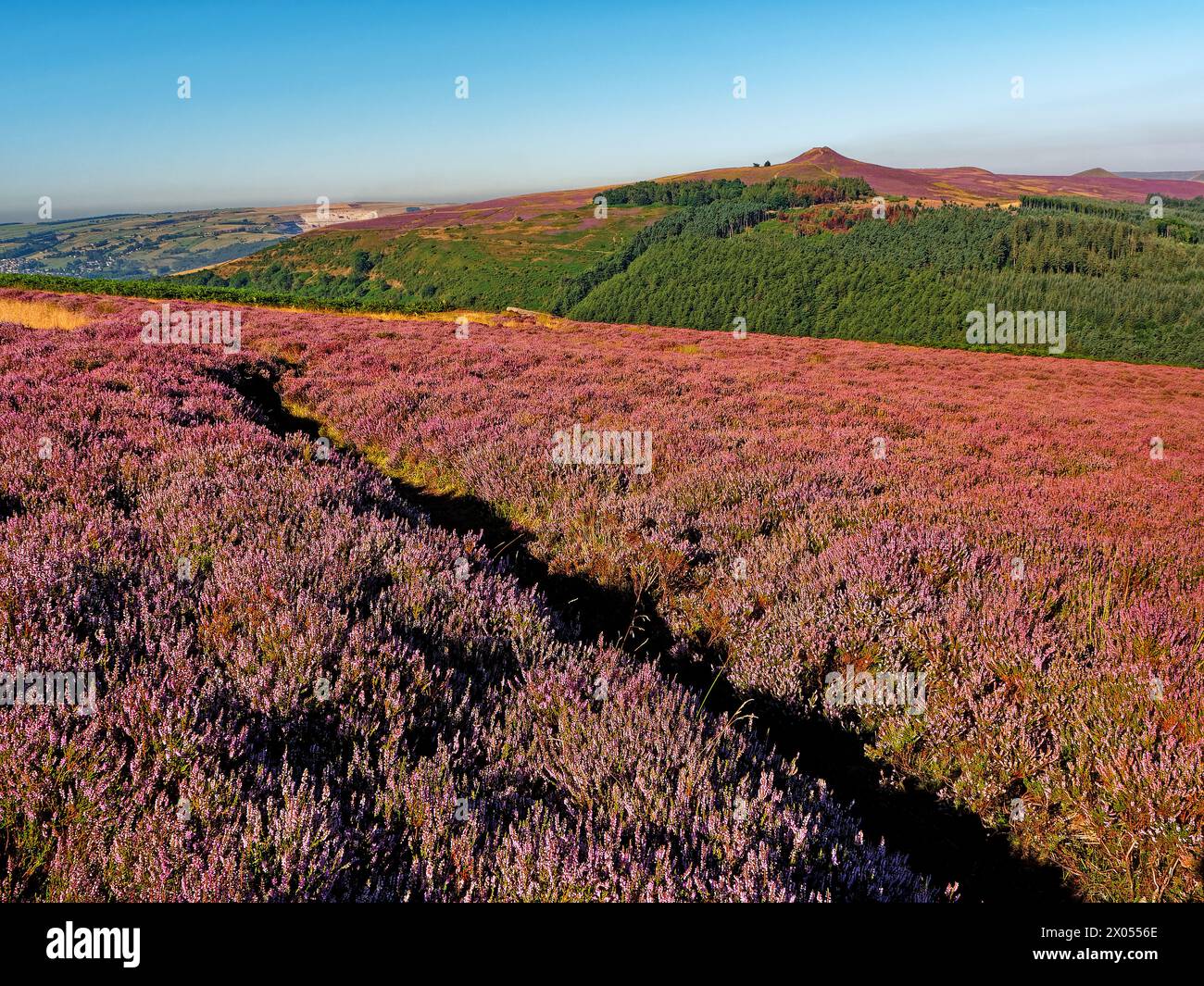 Großbritannien, Derbyshire, Peak District, Bamford Moor und Win Hill. Stockfoto