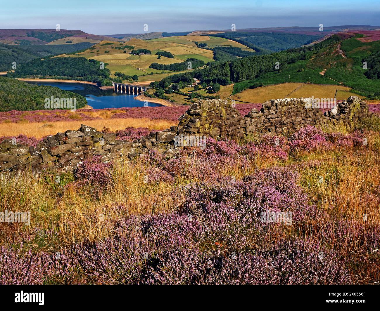 Großbritannien, Derbyshire, Peak District, Ladybower Reservoir ab Bamford Moor. Stockfoto