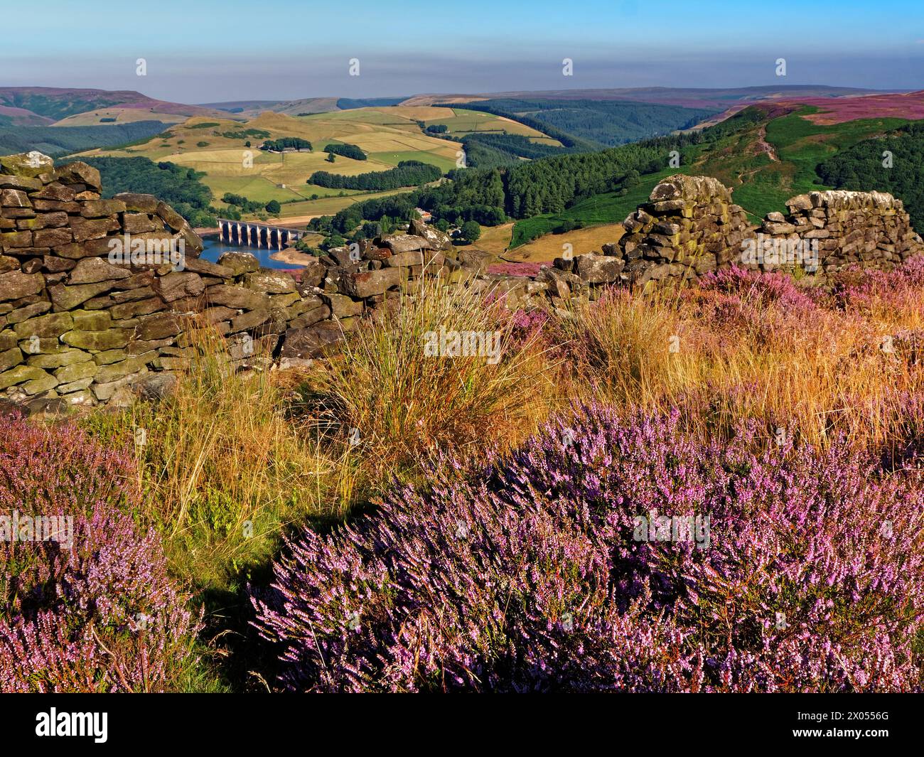 Großbritannien, Derbyshire, Peak District, Ladybower Reservoir ab Bamford Moor. Stockfoto