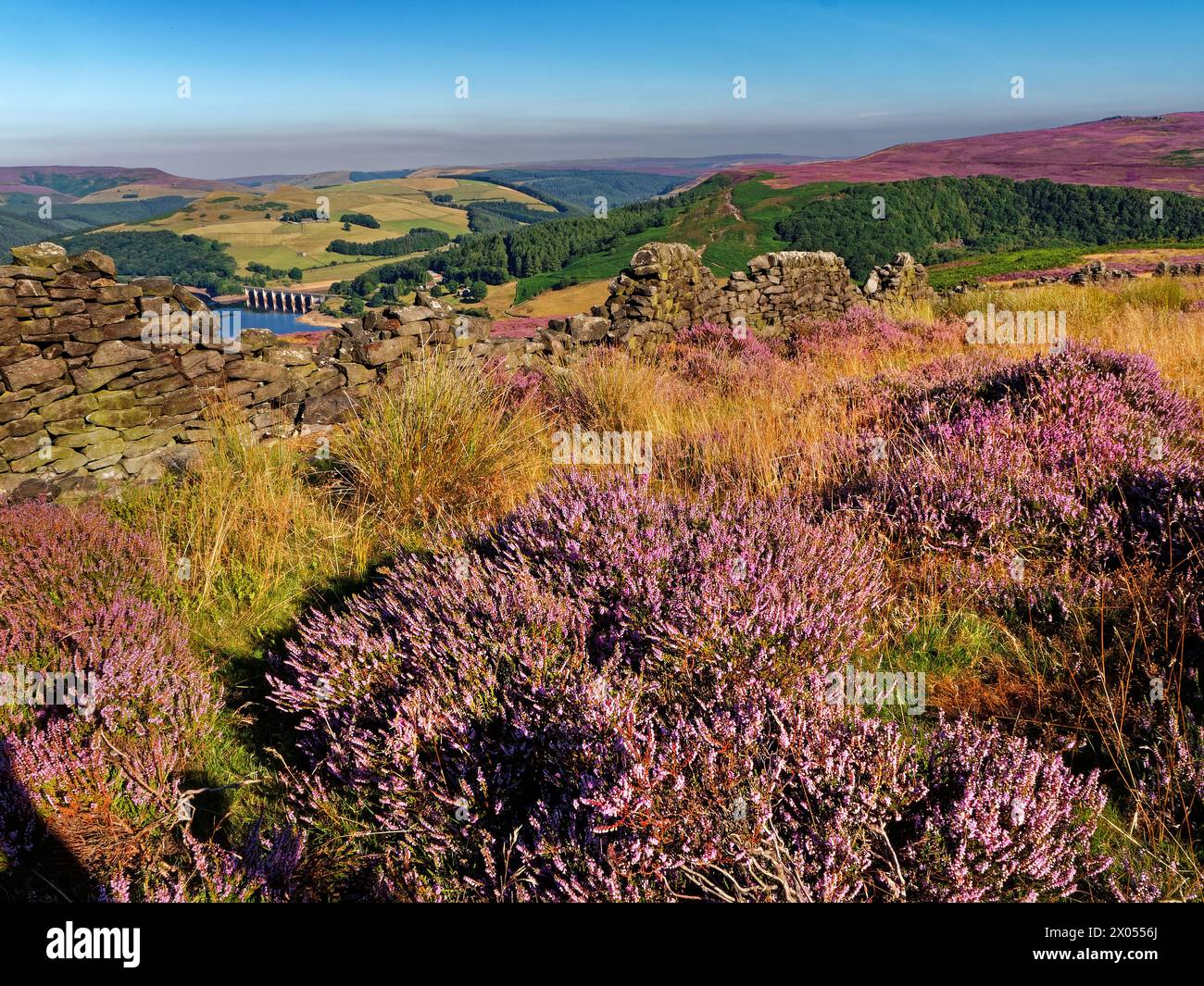 Großbritannien, Derbyshire, Peak District, Ladybower Reservoir ab Bamford Moor. Stockfoto