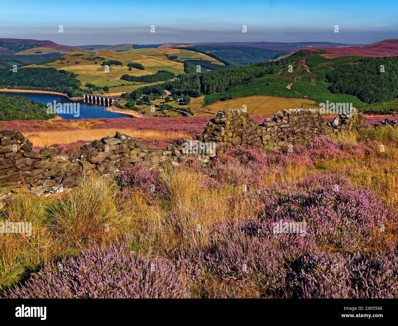 Großbritannien, Derbyshire, Peak District, Ladybower Reservoir ab Bamford Moor. Stockfoto