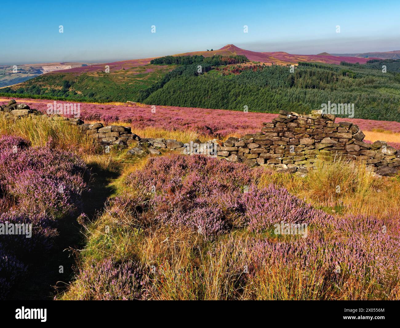 Großbritannien, Derbyshire, Peak District, Bamford Moor und Win Hill. Stockfoto