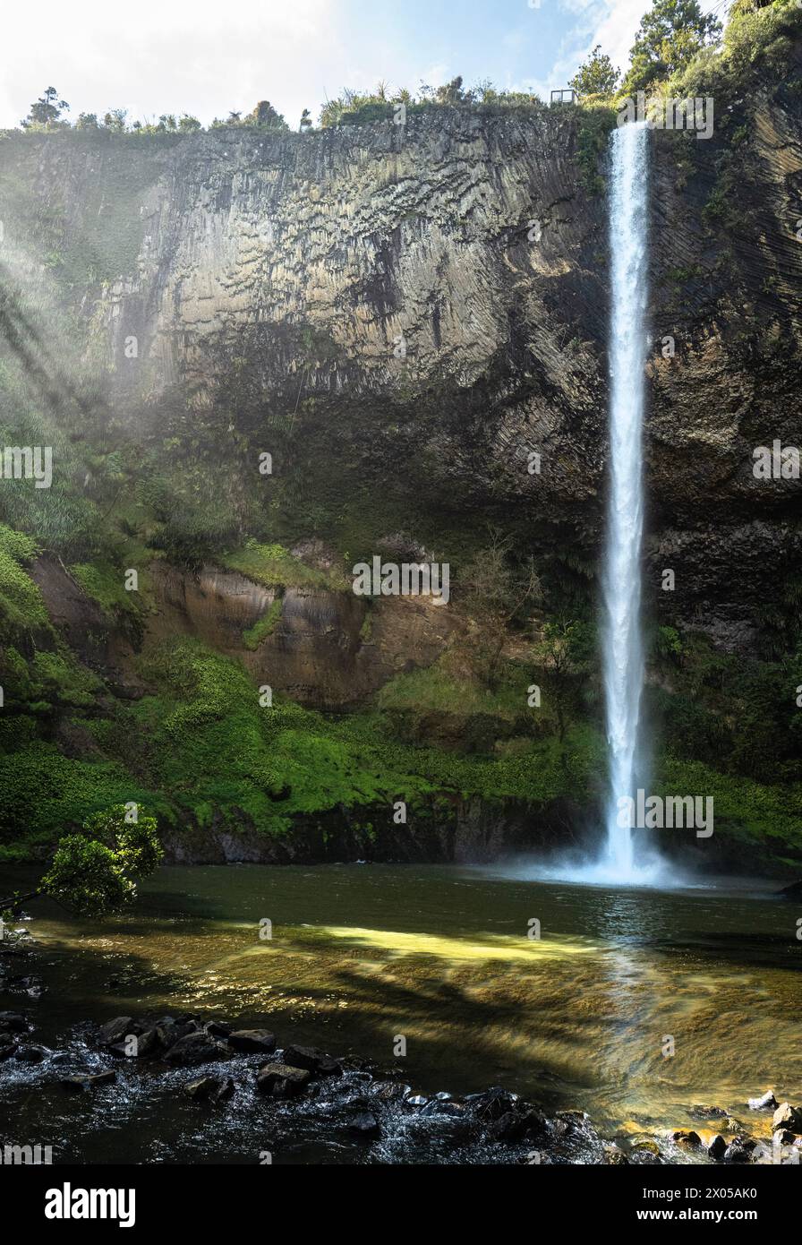 Bridal Falls neuseeland. Wairēinga Bridal Veil Falls in der Gegend von Raglan in der Region Waikato Stockfoto