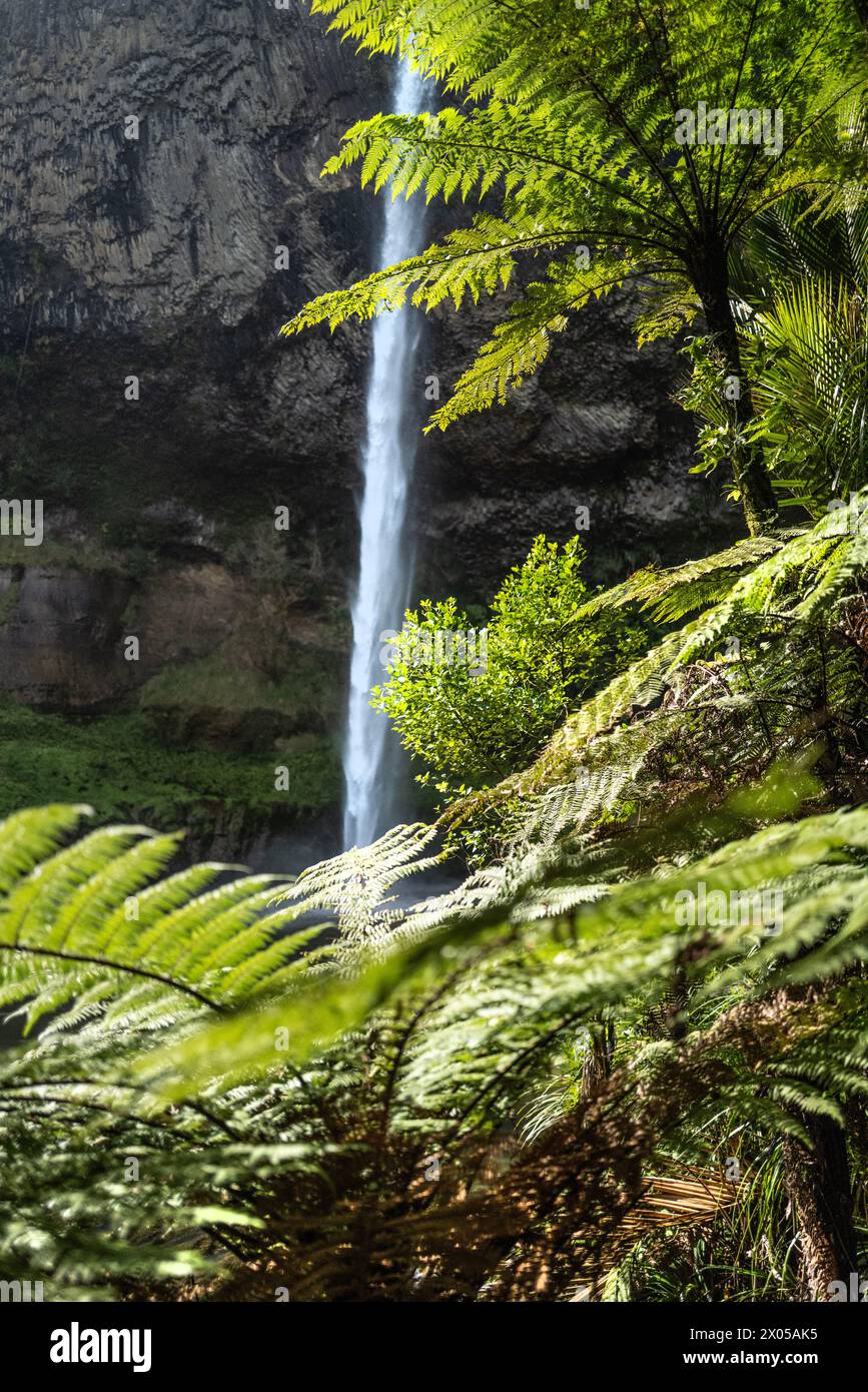 Bridal Falls neuseeland. Wairēinga Bridal Veil Falls in der Gegend von Raglan in der Region Waikato Stockfoto