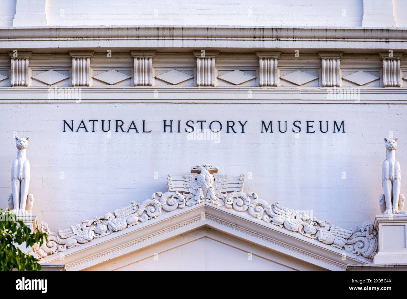 Fassade des Naturkundemuseums im Balboa Park. San Diego, Kalifornien, USA. Stockfoto