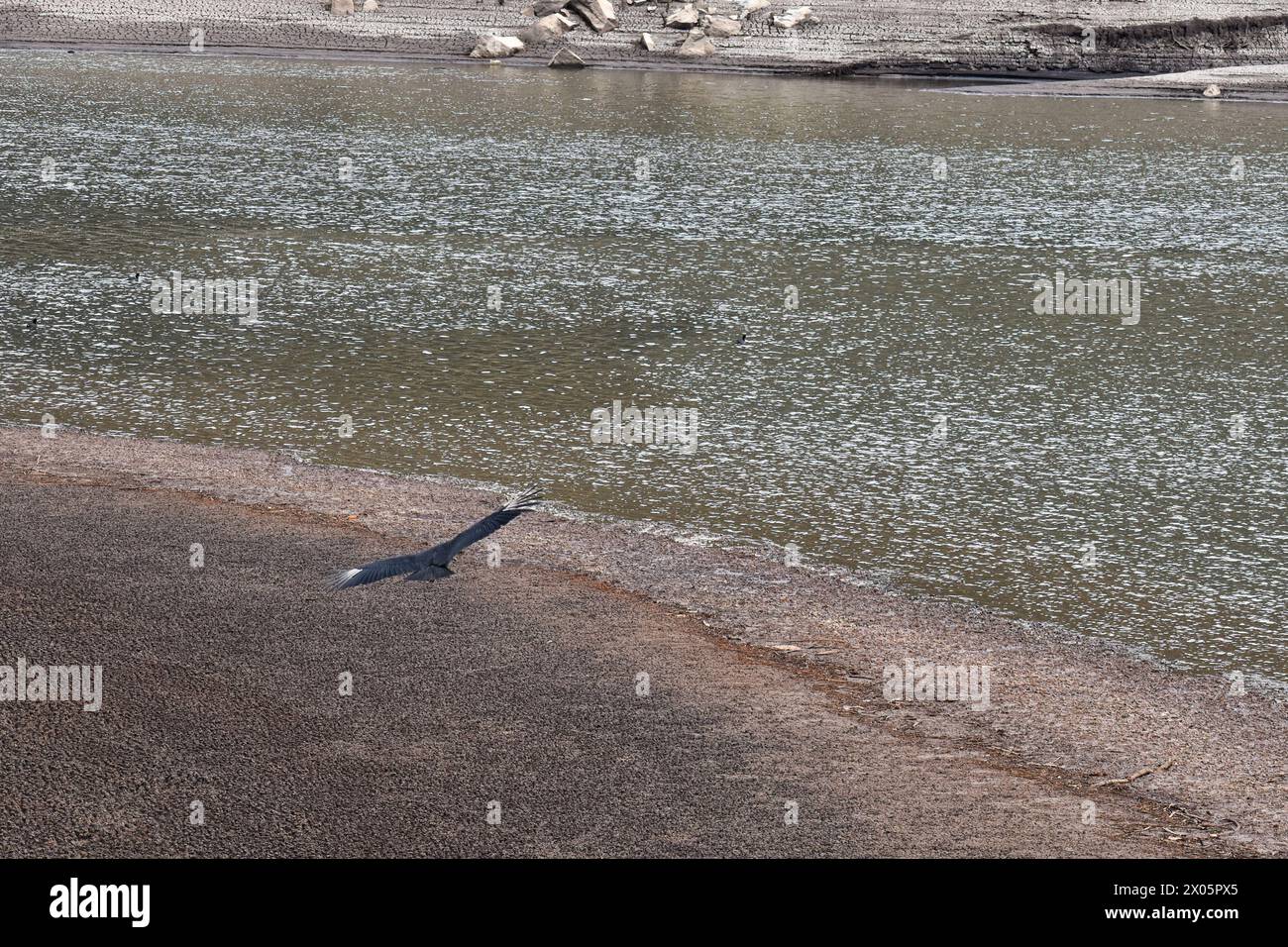 Bogota, Kolumbien. April 2024. Ein Blick auf den San Rafael Stausee mit Trinkwasser in La Calera, Kolumbien, nachdem Dürren den Wasserspiegel am 8. april 2024 senkten. Foto: Cristian Bayona/Long Visual Press Credit: Long Visual Press/Alamy Live News Stockfoto