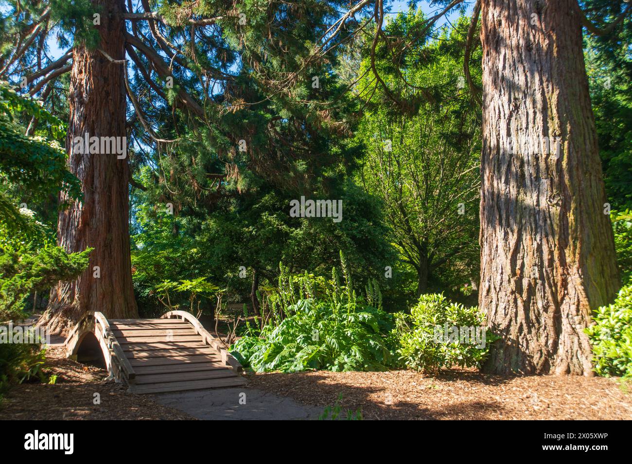 Point Defiance Park in Tacoma, Washington, USA Stockfoto