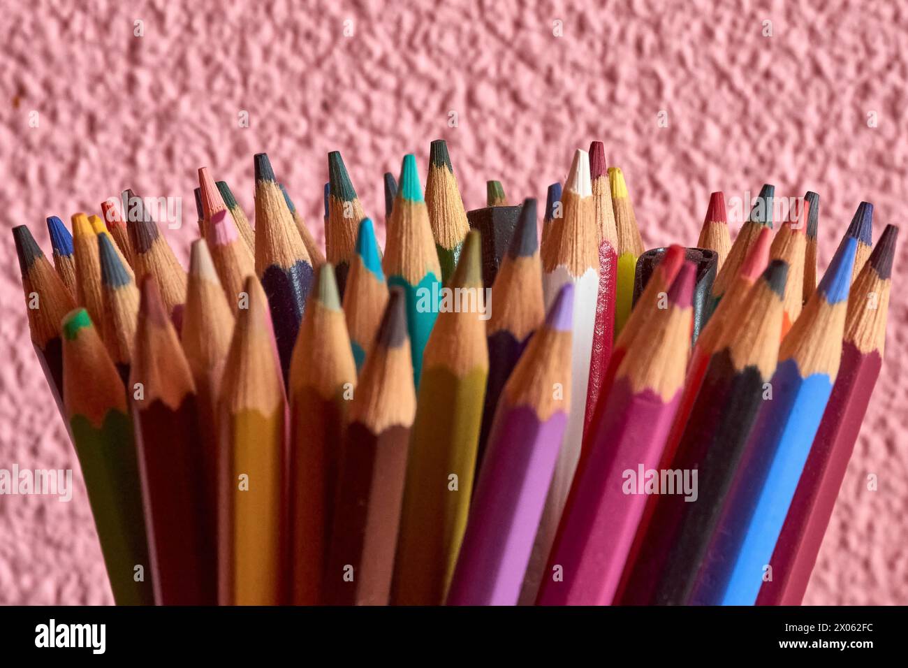 Verschiedene farbige Bleistifte isoliert auf rosa Hintergrund für Schulbeginn oder Bildungskonzept Stockfoto