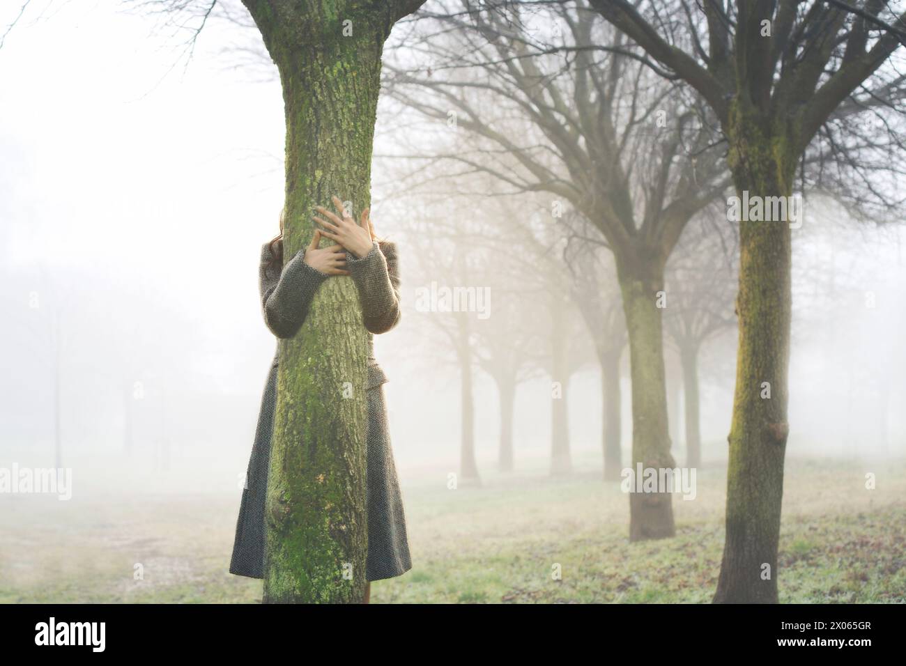 Hände berühren den Stamm eines Baumes und umarmen ihn in einem von Nebel umgebenen Hain Stockfoto