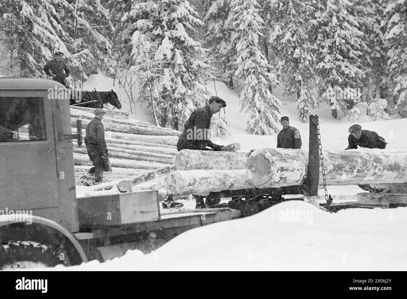 Aktuell 03-1948: Kostbare Währung verschwindet im Schnee. Nach dem schlimmsten trockenen Sommer, den wir in Erinnerung haben, ertrinkt Ostnorwegen jetzt im Schnee. Der Schneefall stellt die Forstarbeiten stark im Wege, und die Chancen, den Winterplan zu erreichen, verschwinden in den Schneelagen. Die Schneemassen machen die Waldarbeit zu einer unmenschlichen Arbeit für Pferd und Mensch, und das Ergebnis ist noch immer dürftig. Unten an der Straße wird das Holz wie. "Die Schwarzen und Brona" und die anderen treuen Werktätigen sind gekommen, in schweren Taschen, bereit zur Sammlung. - Hier bekommt der Truck eine riesige Ladung. PH Stockfoto