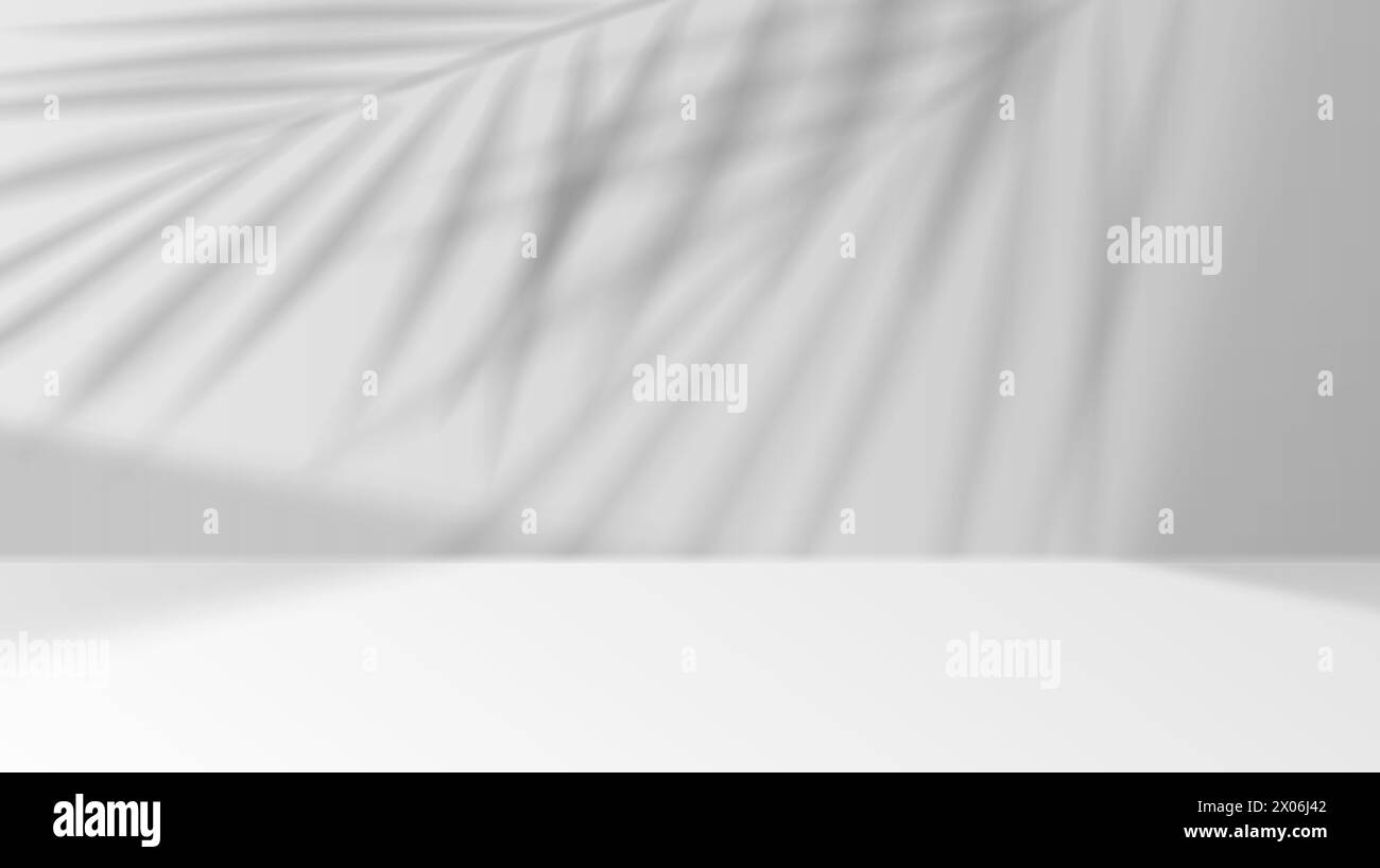 Palmblätter werfen Schatten auf Studio Wand realistische Vektor-Illustration. Produktwerbung Leerraum 3D Hintergrund schwarz-weiß Stock Vektor