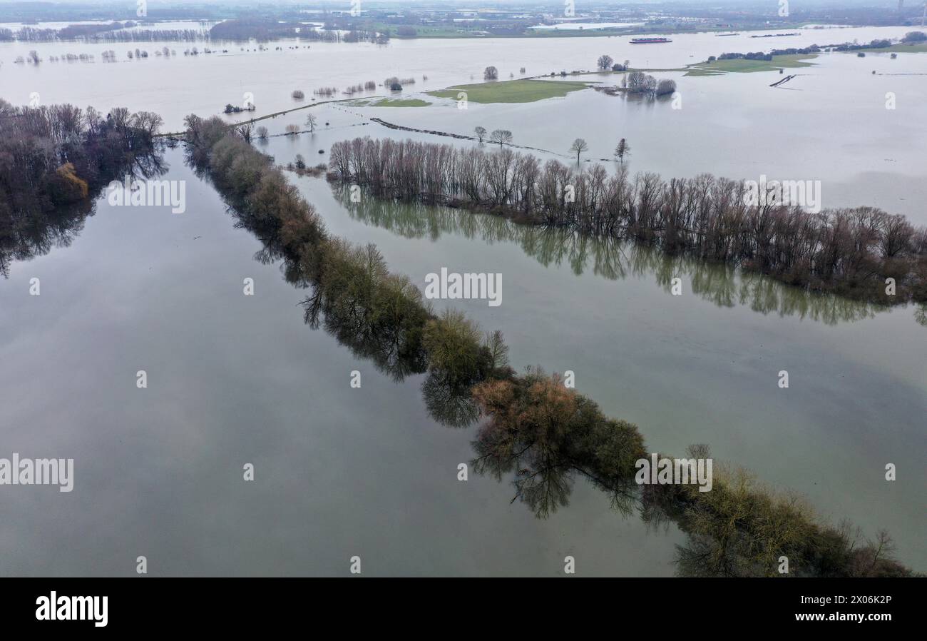 Bei einem hohen Abfluss aus dem Rhein werden die Auen aus der Waal, Niederlande, überschwemmt Stockfoto