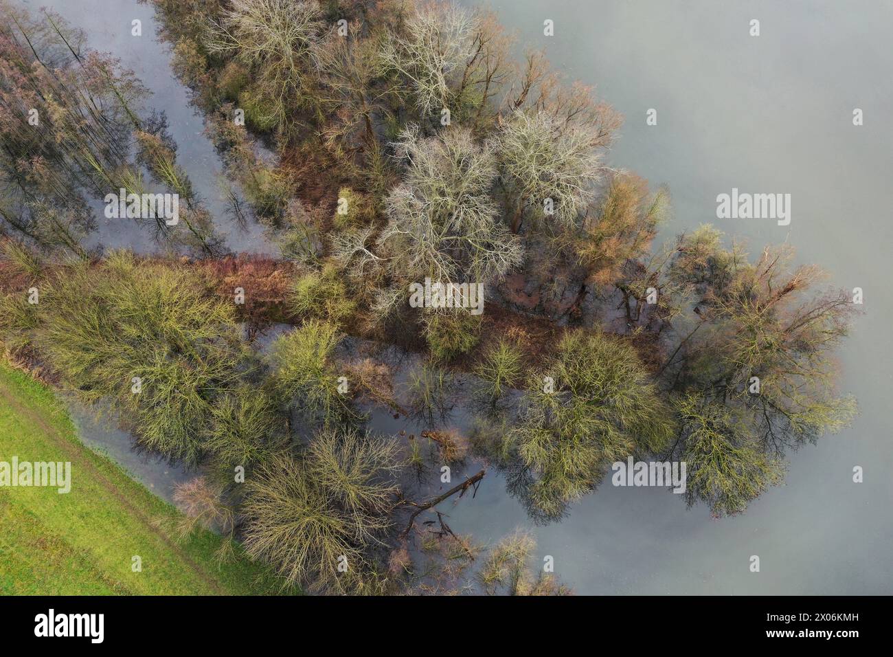 Bei einem hohen Abfluss aus dem Rhein werden die Auen aus der Waal, Niederlande, überschwemmt Stockfoto
