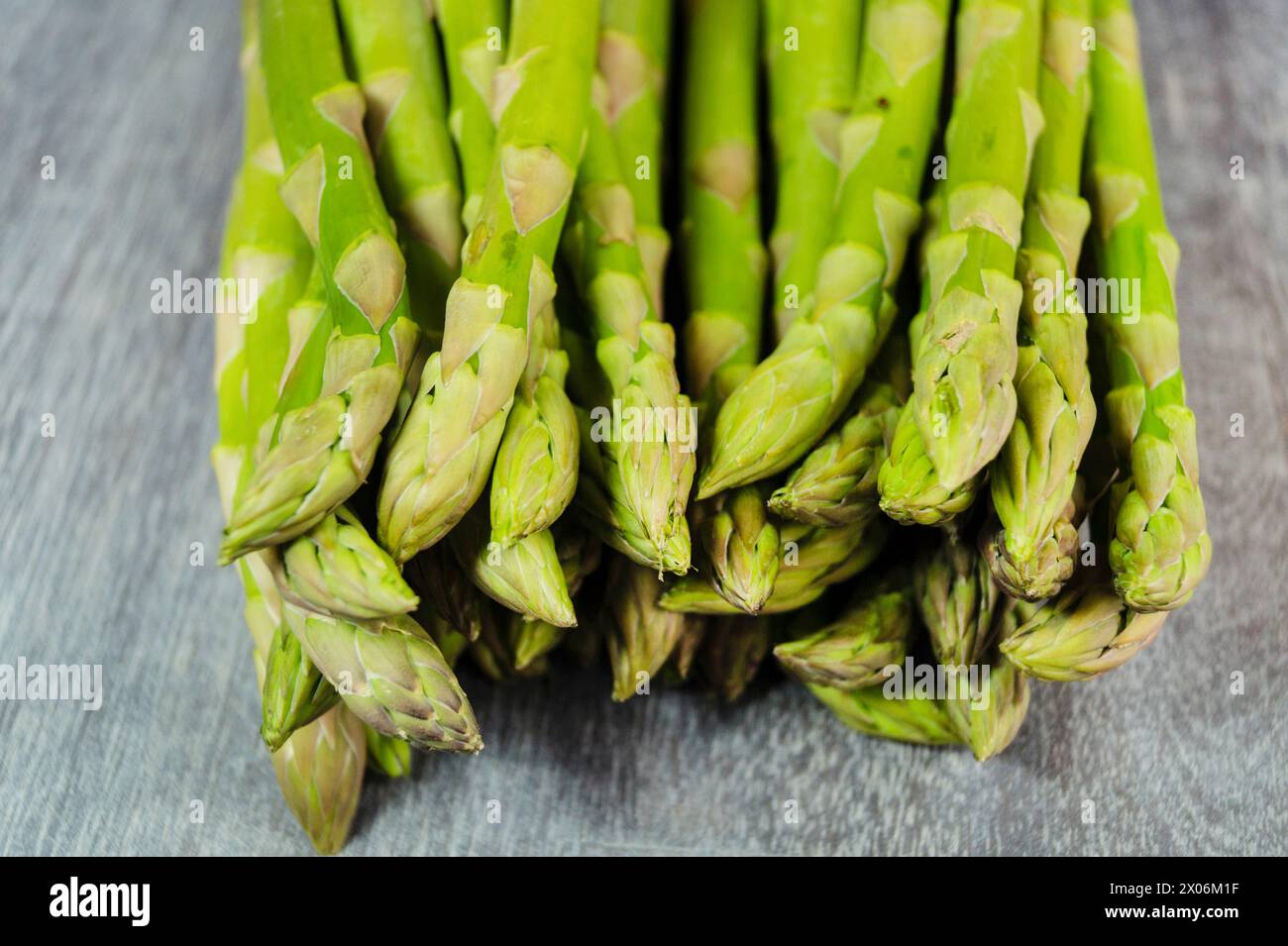 Garten Spargel, Spargel Gras, Wildspargel (Spargel officinalis), grüne Spargel Stockfoto