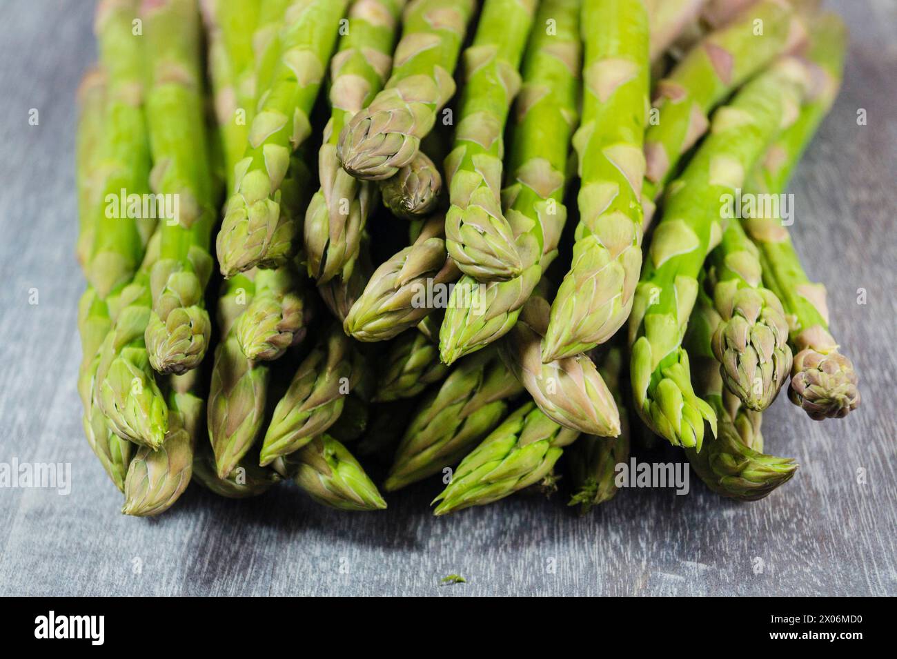 Garten Spargel, Spargel Gras, Wildspargel (Spargel officinalis), grüne Spargel Stockfoto
