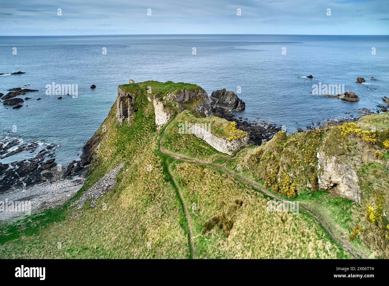 Findlater Castle Cullen Aberdeenshire im gelben Ginster und die Wege, die zu den Ruinen auf einer gewaltigen Klippe mit Blick auf das Meer führen Stockfoto