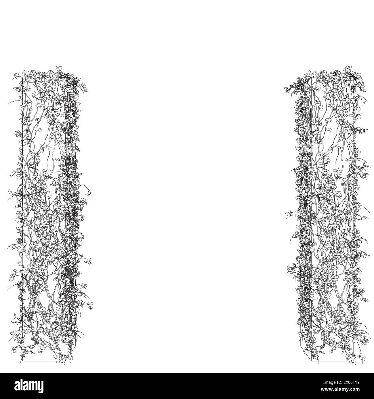 Kontur von Säulen, die mit Pflanzen verschlungen sind, mit Blättern aus schwarzen Linien, die auf weißem Hintergrund isoliert sind. 3D. Vektorabbildung. Stock Vektor