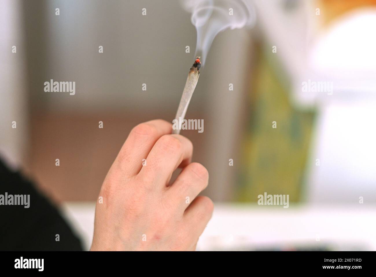 Unerkennbare weibliche junge Erwachsene Person bereiten Rauch Haschisch Tabak Zigarette Joint mit Filter zu Hause auf weißem Tisch für persönliche Gesundheit Entspannen Sie uns Stockfoto
