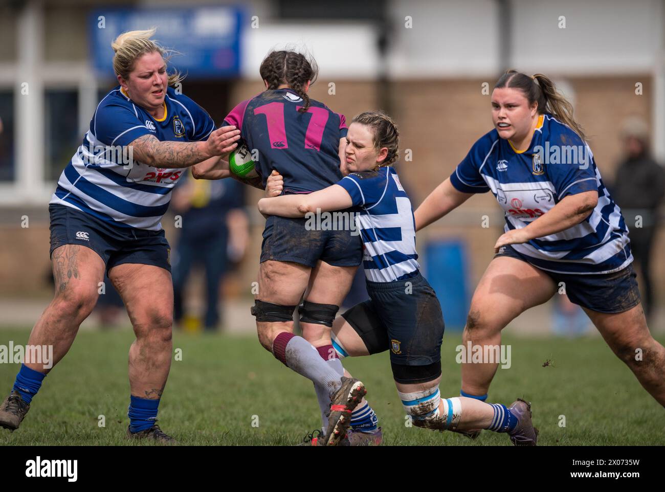 Englisches Amateur-Rugby-union-Frauenspiel. Stockfoto