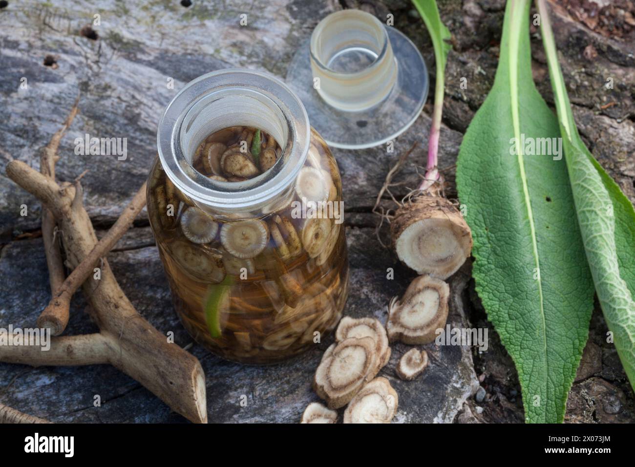 Alant, Echter Alant, Wurzeltinktur, Wurzel-Tinktur, Tinktur, alkoholischer Auszug, Tinkturen, Wurzel, Wurzeln, Wurzelstock, Helenenkraut, Inula heleni Stockfoto