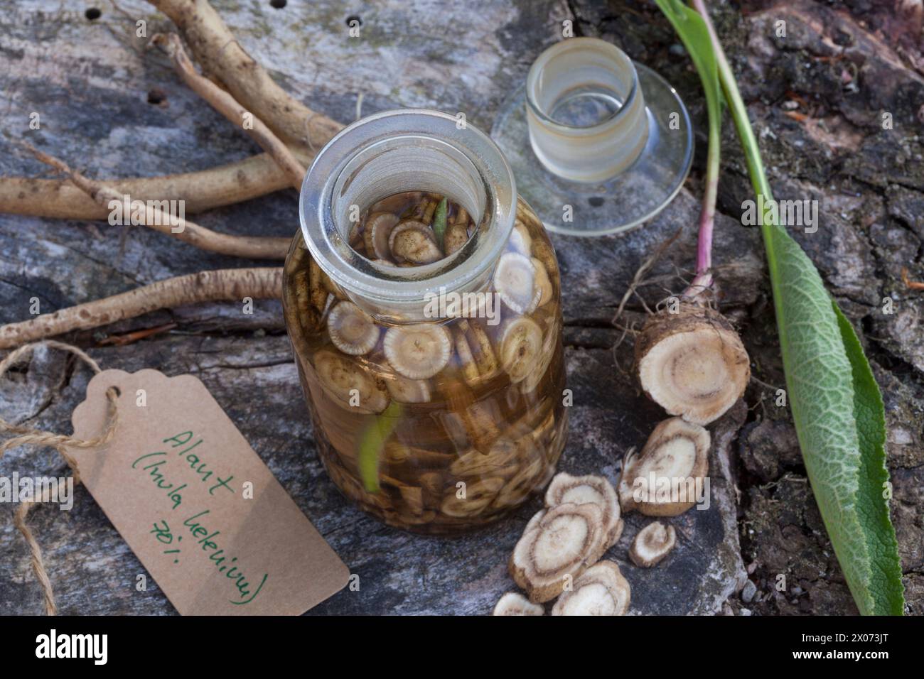 Alant, Echter Alant, Wurzeltinktur, Wurzel-Tinktur, Tinktur, alkoholischer Auszug, Tinkturen, Wurzel, Wurzeln, Wurzelstock, Helenenkraut, Inula heleni Stockfoto