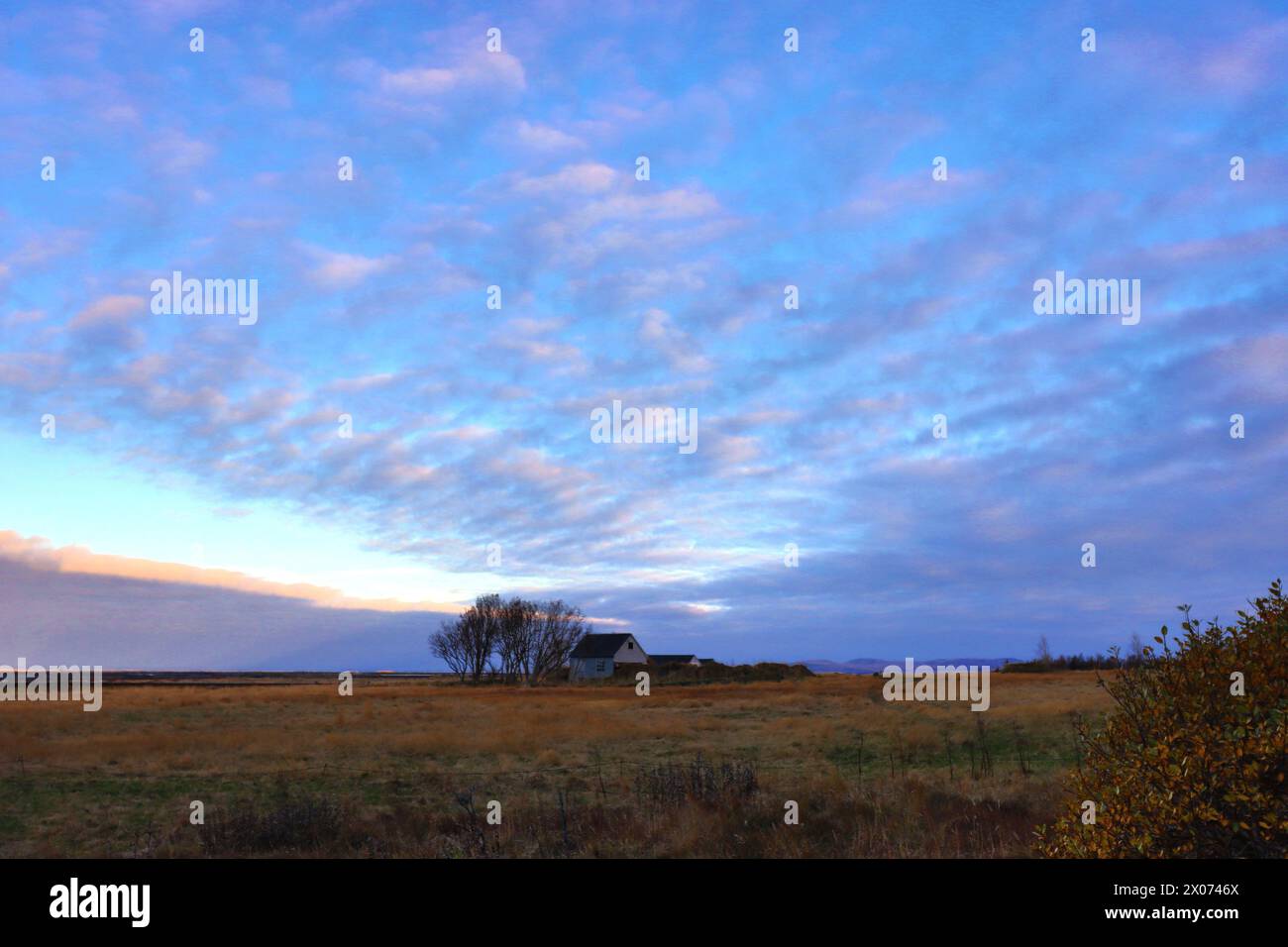 Idyllische isländische Landschaft einer Wiese mit einem kleinen Häuschen. Typisches Bild einer zu malenden Landschaft. Stockfoto