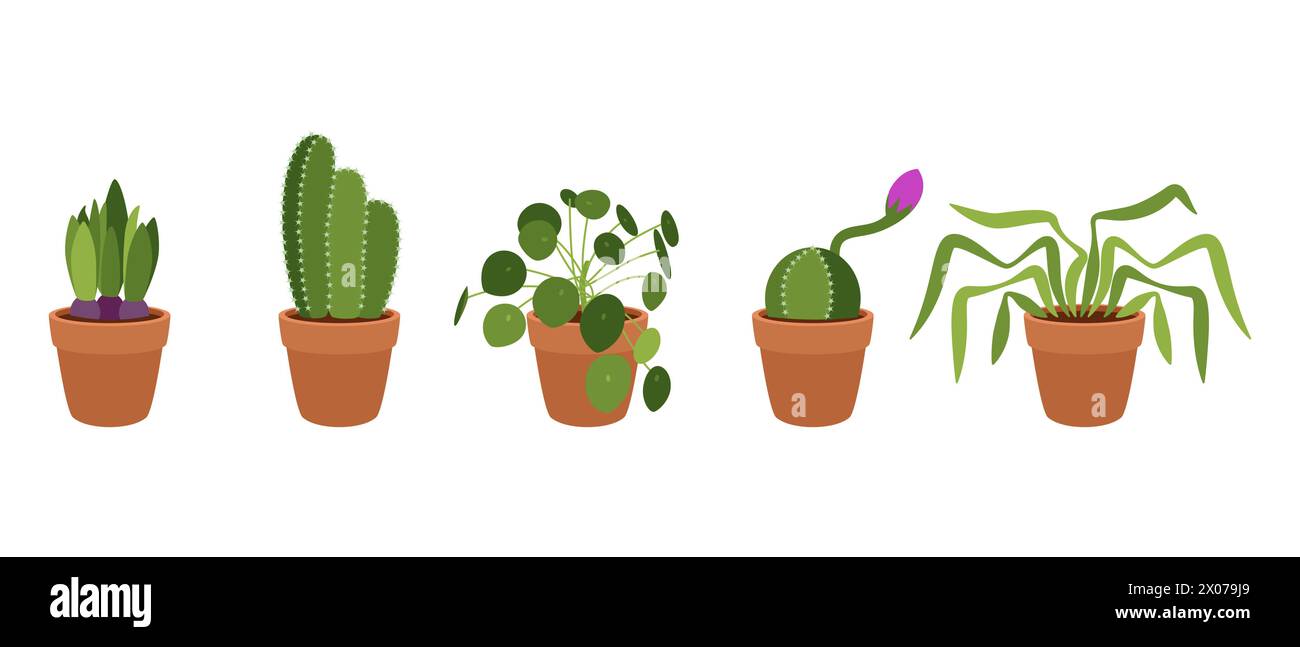 Set von kleinen Zimmerpflanzen in Töpfen. Vektor auf weißem Hintergrund. Stock Vektor