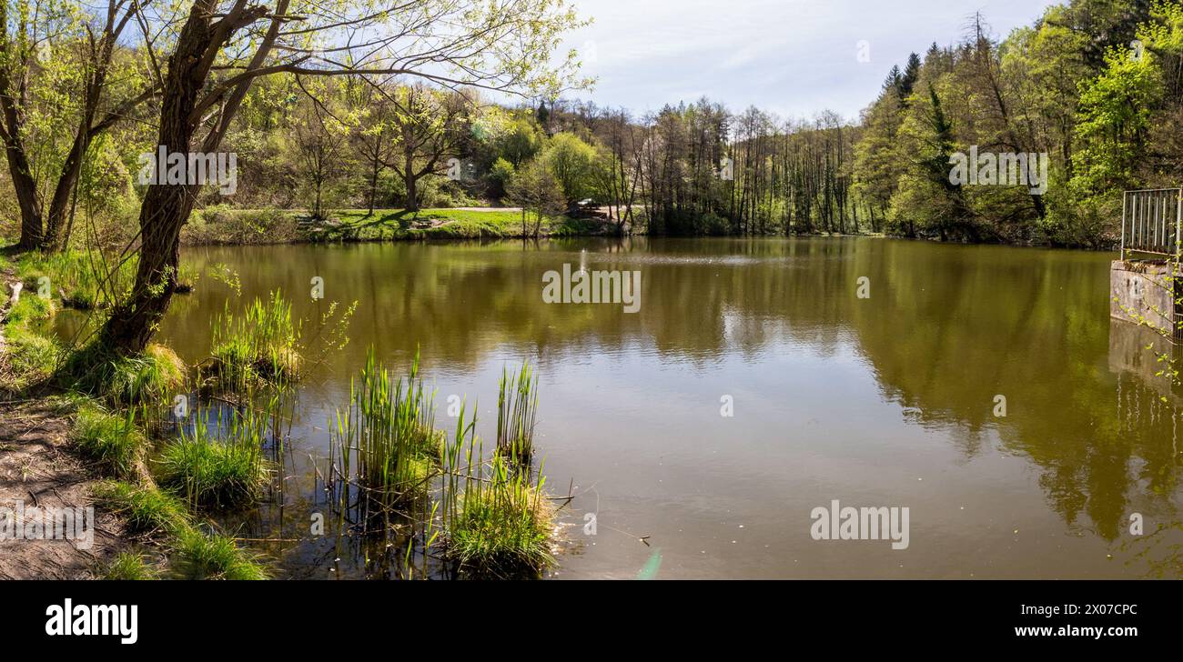 Szalamandra-to (künstlicher Teich) im Frühjahr, Soproni-hegyseg, Sopron, Ungarn Stockfoto